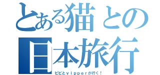 とある猫との日本旅行（ピピとｖｉｐｐｅｒが行く！）