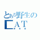 とある野生の■ＡＴ（野良猫）