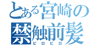 とある宮崎の禁触前髪（ピロピロ）