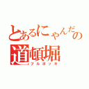 とあるにゃんだの道頓堀（フルボッキ）