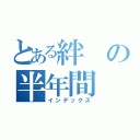 とある絆の半年間（インデックス）