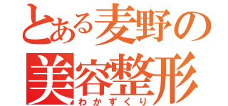 とある麦野の美容整形（わかずくり）