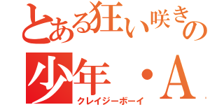 とある狂い咲きの少年・Ａ（クレイジーボーイ）