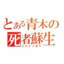 とある青木の死者蘇生（シシャソセイ）