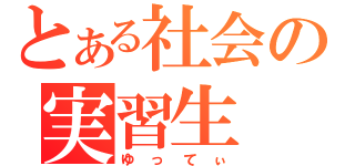 とある社会の実習生（ゆってぃ）