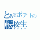 とあるポテトの転校生（ゆっきー）