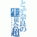 とある奈良の生徒会超（ショタコン）