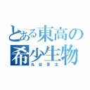 とある東高の希少生物（丸谷芽生）