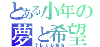 とある小年の夢と希望（そして心強さ）