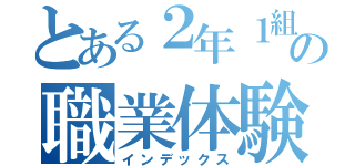 とある２年１組の職業体験記録（インデックス）