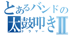 とあるバンドの太鼓叩きⅡ（ドラマー）