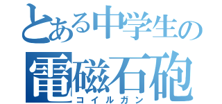 とある中学生の電磁石砲（コイルガン）