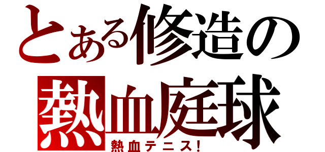 とある修造の熱血庭球（熱血テニス！）