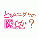 とあるニダヤの陰毛か？（米国人が嫌う２大族）