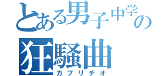 とある男子中学生の狂騒曲（カプリチオ）