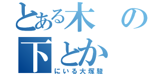 とある木の下とか（にいる大塚駿）