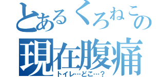 とあるくろねこの現在腹痛（トイレ…どこ…？）