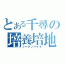 とある千尋の培養培地（コージンバイオ）