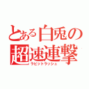 とある白兎の超速連撃（ラビットラッシュ）