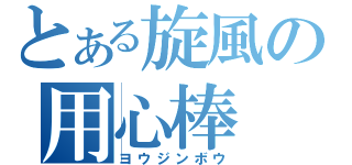 とある旋風の用心棒（ヨウジンボウ）