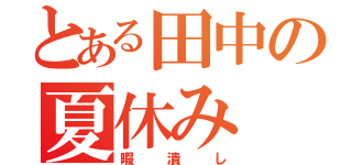 とある田中の夏休み（暇潰し）