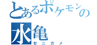 とあるポケモンの水亀（ゼニガメ）