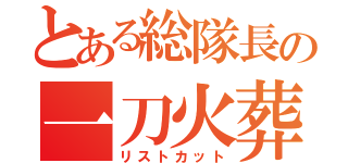 とある総隊長の一刀火葬（リストカット）