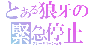 とある狼牙の緊急停止（ブレーキキャンセル）
