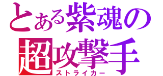 とある紫魂の超攻撃手（ストライカー）