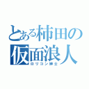 とある柿田の仮面浪人（ロリコン紳士）