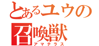 とあるユウの召喚獣（アマテラス）