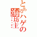 とあるハゲの海坊主（つるっぱげ）