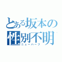 とある坂本の性別不明（ニューハーフ）