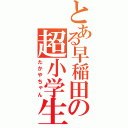 とある早稲田の超小学生（たかやちゃん）