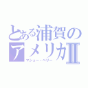 とある浦賀のアメリカ軍Ⅱ（マシュー・ペリー）