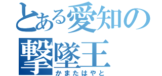 とある愛知の撃墜王（かまたはやと）