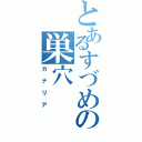 とあるすづめの巣穴（カナリア）