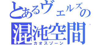 とあるヴェルズの混沌空間（カオスゾーン）