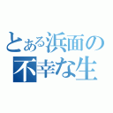 とある浜面の不幸な生活（）