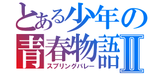 とある少年の青春物語Ⅱ（スプリングバレー）