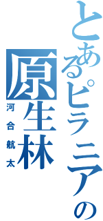 とあるピラニアの原生林（河合航太）