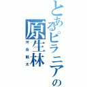 とあるピラニアの原生林（河合航太）