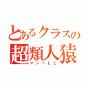 とあるクラスの超類人猿（マントヒヒ）