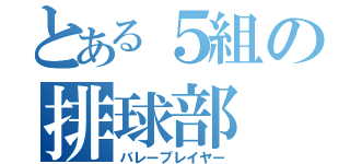 とある５組の排球部（バレープレイヤー）