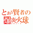 とある賢者の爆炎火球（メラゾーマ）