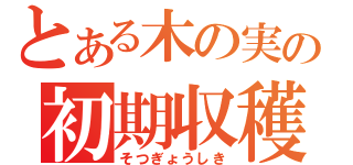 とある木の実の初期収穫（そつぎょうしき）