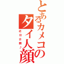 とあるカメコのタイ人顔Ⅱ（近日公開♪）