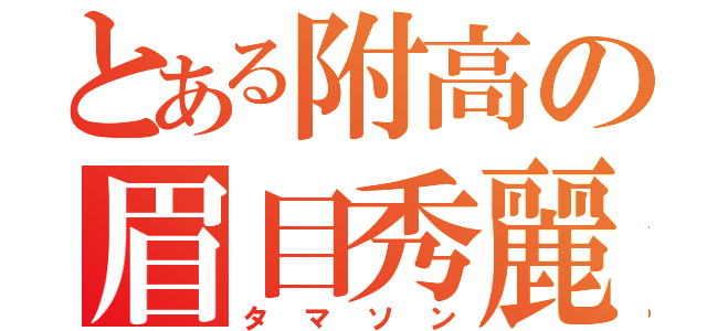 とある附高の眉目秀麗（タマソン）