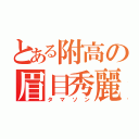 とある附高の眉目秀麗（タマソン）