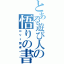 とある遊び人の悟りの書（ロリ＝賢者）